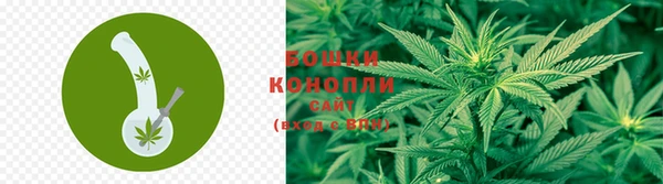 индика Нея