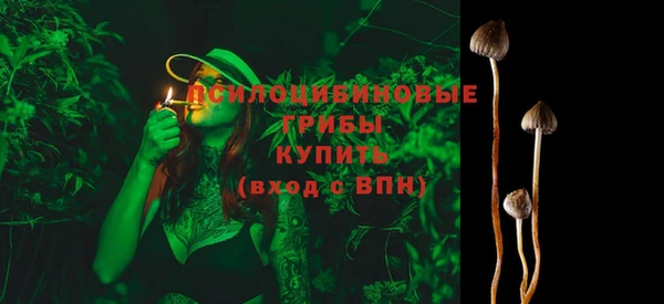молекула духа Нефтегорск