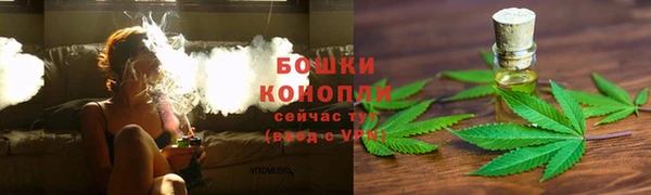 ECSTASY Нефтекумск
