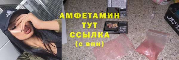 индика Нея