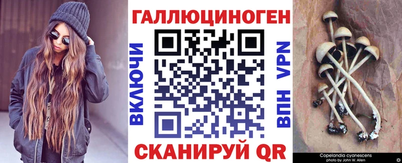 Псилоцибиновые грибы MAGIC MUSHROOMS  Купить закладки  Шилка 