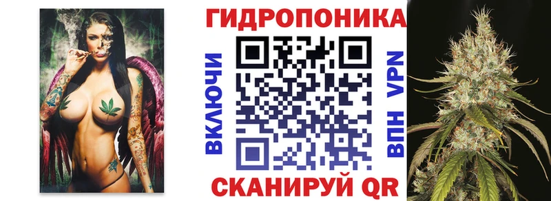 Бошки Шишки OG Kush  Купить  Шилка 